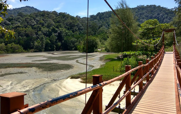 zh penang national park 01