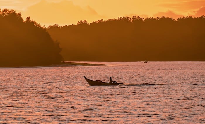 Kuala Selangor Nature Wonders
